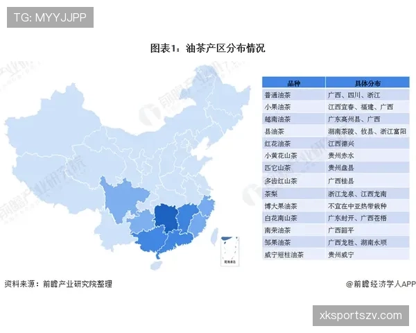 山东泰山豪门地位面临考验：当前阶段形势变化影响竞争格局