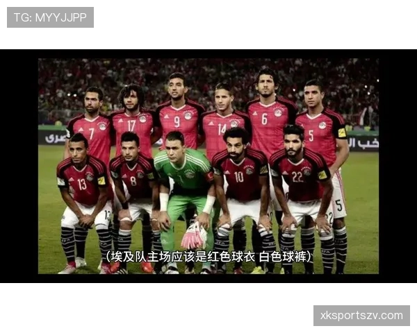埃及冲击2026世界杯：赛程前景与出线形势分析