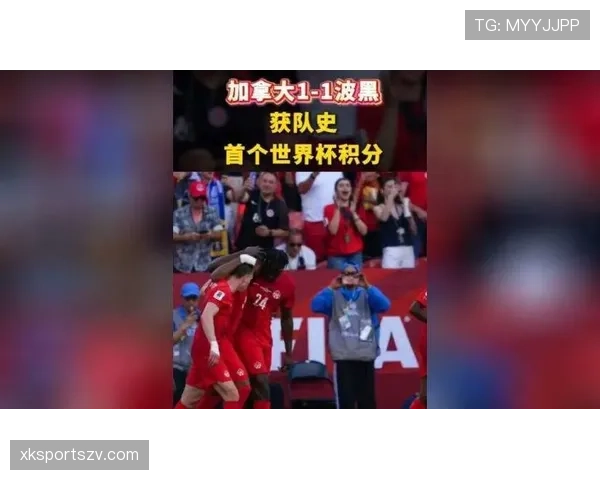 世界杯B组波黑表现：一胜一平一负拿到4分